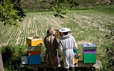 Formation initiale TSA – Automne 2025