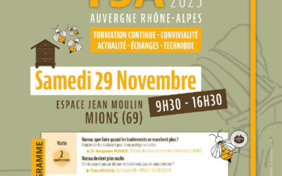 Journée régionale des TSA – Samedi 29 novembre 2025